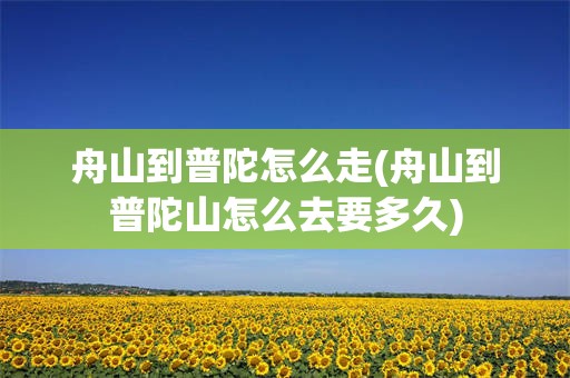 舟山到普陀怎么走(舟山到普陀山怎么去要多久)