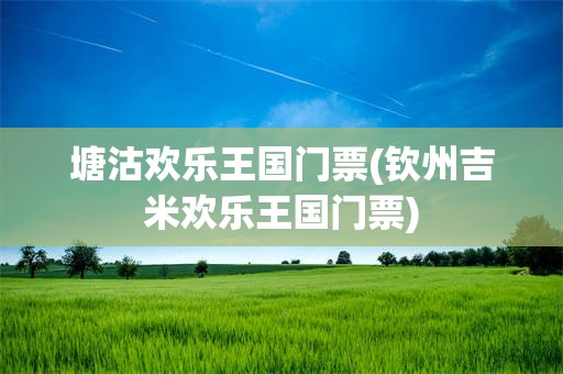塘沽欢乐王国门票(钦州吉米欢乐王国门票)