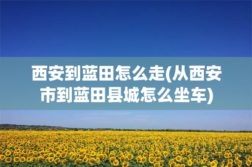 西安到蓝田怎么走(从西安市到蓝田县城怎么坐车)