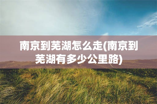 南京到芜湖怎么走(南京到芜湖有多少公里路)