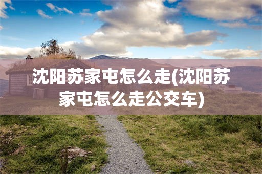 沈阳苏家屯怎么走(沈阳苏家屯怎么走公交车)