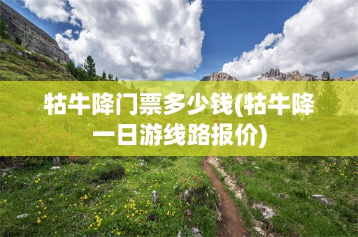 牯牛降门票多少钱(牯牛降一日游线路报价)