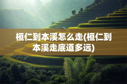 桓仁到本溪怎么走(桓仁到本溪走底道多远)