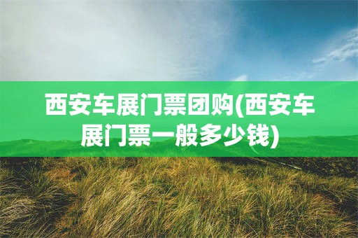 西安车展门票团购(西安车展门票一般多少钱)