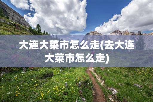 大连大菜市怎么走(去大连大菜市怎么走)