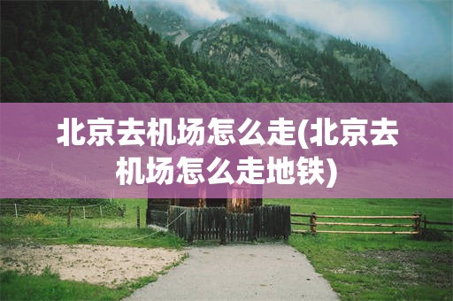 北京去机场怎么走(北京去机场怎么走地铁)