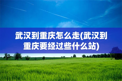 武汉到重庆怎么走(武汉到重庆要经过些什么站)