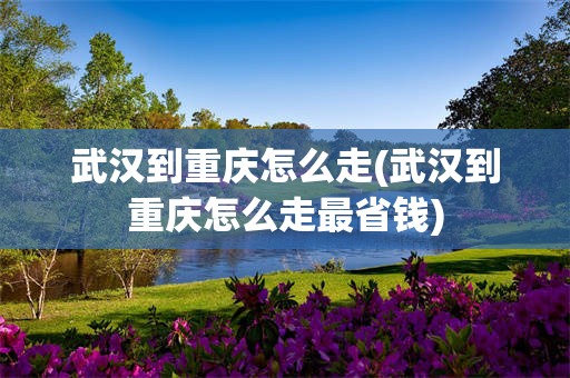 武汉到重庆怎么走(武汉到重庆怎么走最省钱)