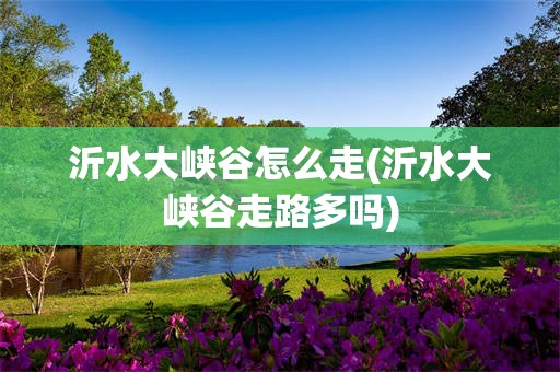 沂水大峡谷怎么走(沂水大峡谷走路多吗)