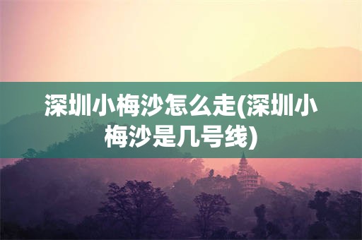 深圳小梅沙怎么走(深圳小梅沙是几号线)