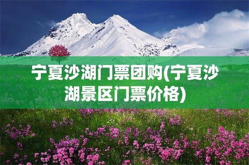 宁夏沙湖门票团购(宁夏沙湖景区门票价格)