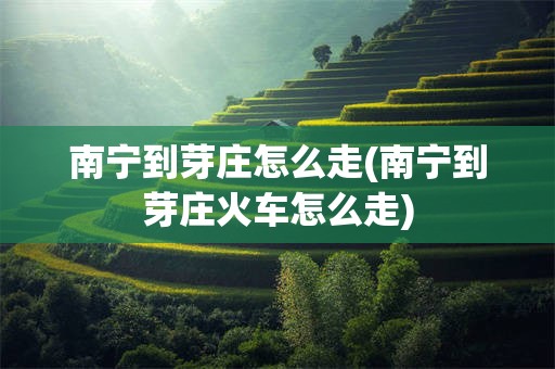南宁到芽庄怎么走(南宁到芽庄火车怎么走)