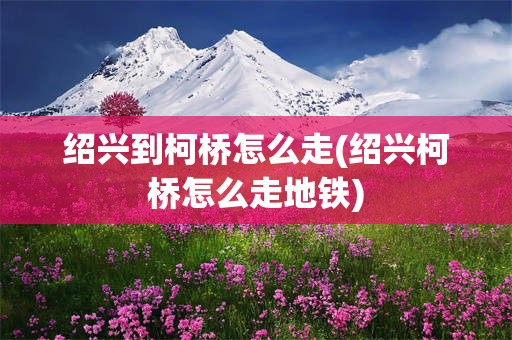绍兴到柯桥怎么走(绍兴柯桥怎么走地铁)