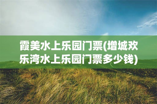 霞美水上乐园门票(增城欢乐湾水上乐园门票多少钱)