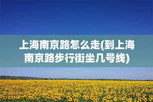上海南京路怎么走(到上海南京路步行街坐几号线)