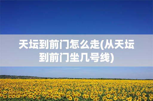 天坛到前门怎么走(从天坛到前门坐几号线)