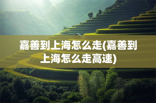 嘉善到上海怎么走(嘉善到上海怎么走高速)