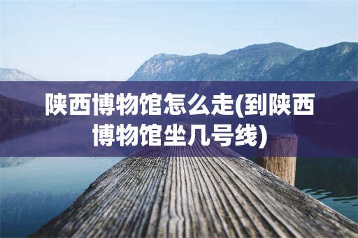 陕西博物馆怎么走(到陕西博物馆坐几号线)