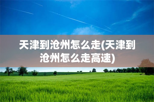 天津到沧州怎么走(天津到沧州怎么走高速)