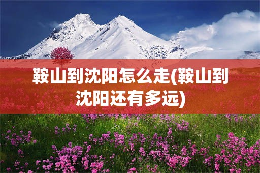 鞍山到沈阳怎么走(鞍山到沈阳还有多远)
