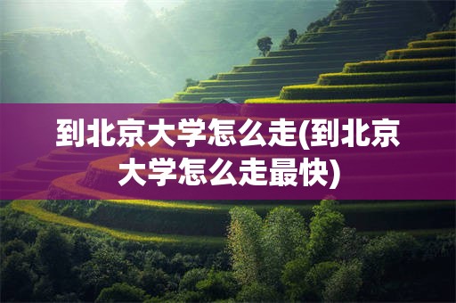 到北京大学怎么走(到北京大学怎么走最快)
