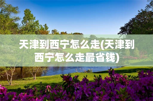 天津到西宁怎么走(天津到西宁怎么走最省钱)