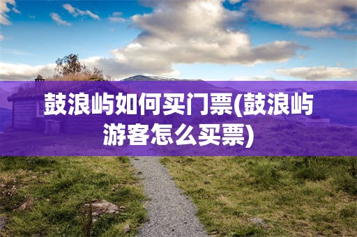 鼓浪屿如何买门票(鼓浪屿游客怎么买票)