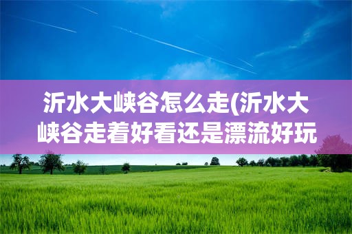 沂水大峡谷怎么走(沂水大峡谷走着好看还是漂流好玩)