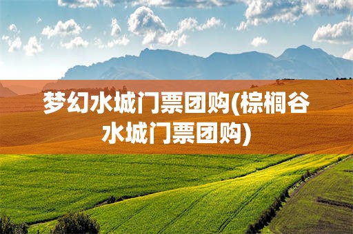 梦幻水城门票团购(棕榈谷水城门票团购)