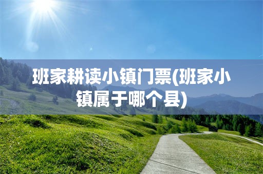班家耕读小镇门票(班家小镇属于哪个县)