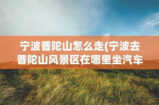 宁波普陀山怎么走(宁波去普陀山风景区在哪里坐汽车过去)