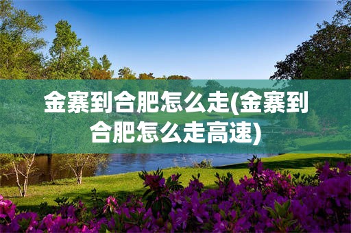 金寨到合肥怎么走(金寨到合肥怎么走高速)