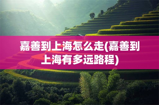 嘉善到上海怎么走(嘉善到上海有多远路程)