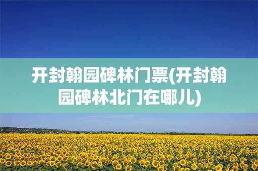 开封翰园碑林门票(开封翰园碑林北门在哪儿)