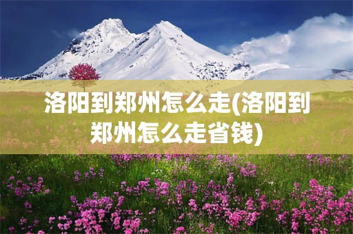 洛阳到郑州怎么走(洛阳到郑州怎么走省钱)