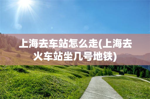 上海去车站怎么走(上海去火车站坐几号地铁)