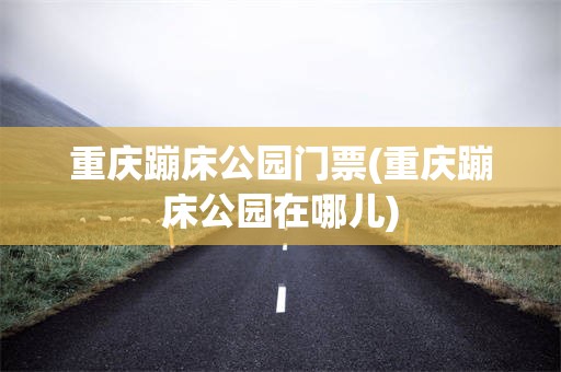 重庆蹦床公园门票(重庆蹦床公园在哪儿)