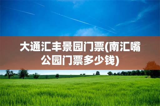 大通汇丰景园门票(南汇嘴公园门票多少钱)