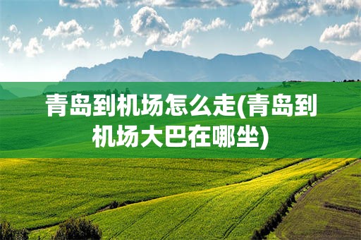 青岛到机场怎么走(青岛到机场大巴在哪坐)