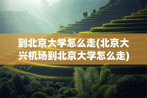 到北京大学怎么走(北京大兴机场到北京大学怎么走)
