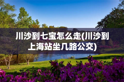 川沙到七宝怎么走(川沙到上海站坐几路公交)