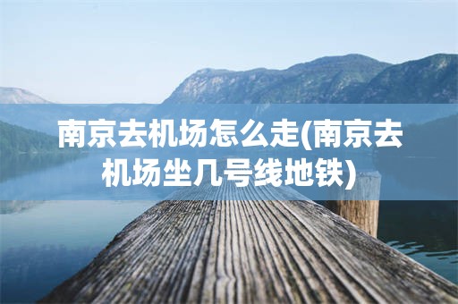 南京去机场怎么走(南京去机场坐几号线地铁)