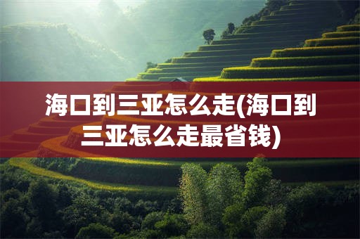 海口到三亚怎么走(海口到三亚怎么走最省钱)