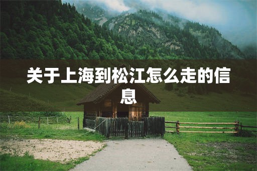 关于上海到松江怎么走的信息