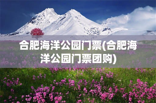 合肥海洋公园门票(合肥海洋公园门票团购)