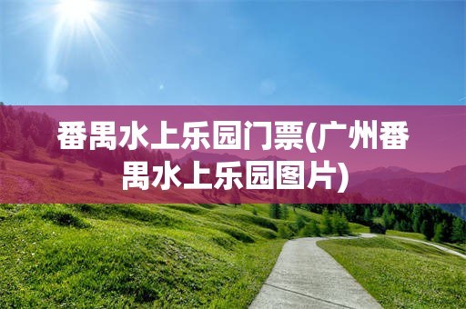 番禺水上乐园门票(广州番禺水上乐园图片)