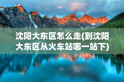 沈阳大东区怎么走(到沈阳大东区从火车站哪一站下)