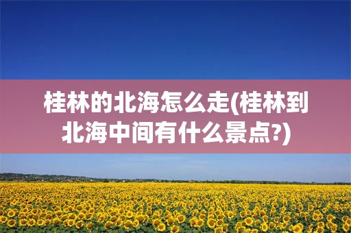 桂林的北海怎么走(桂林到北海中间有什么景点?)