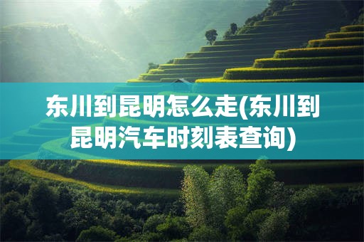 东川到昆明怎么走(东川到昆明汽车时刻表查询)