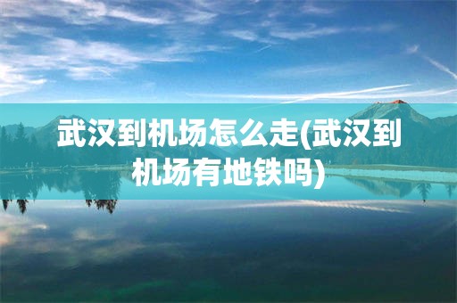 武汉到机场怎么走(武汉到机场有地铁吗)